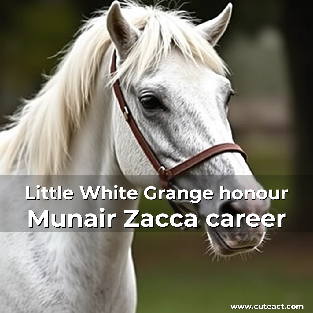 Artistic representation for Little White Grange honour Munair Zacca career